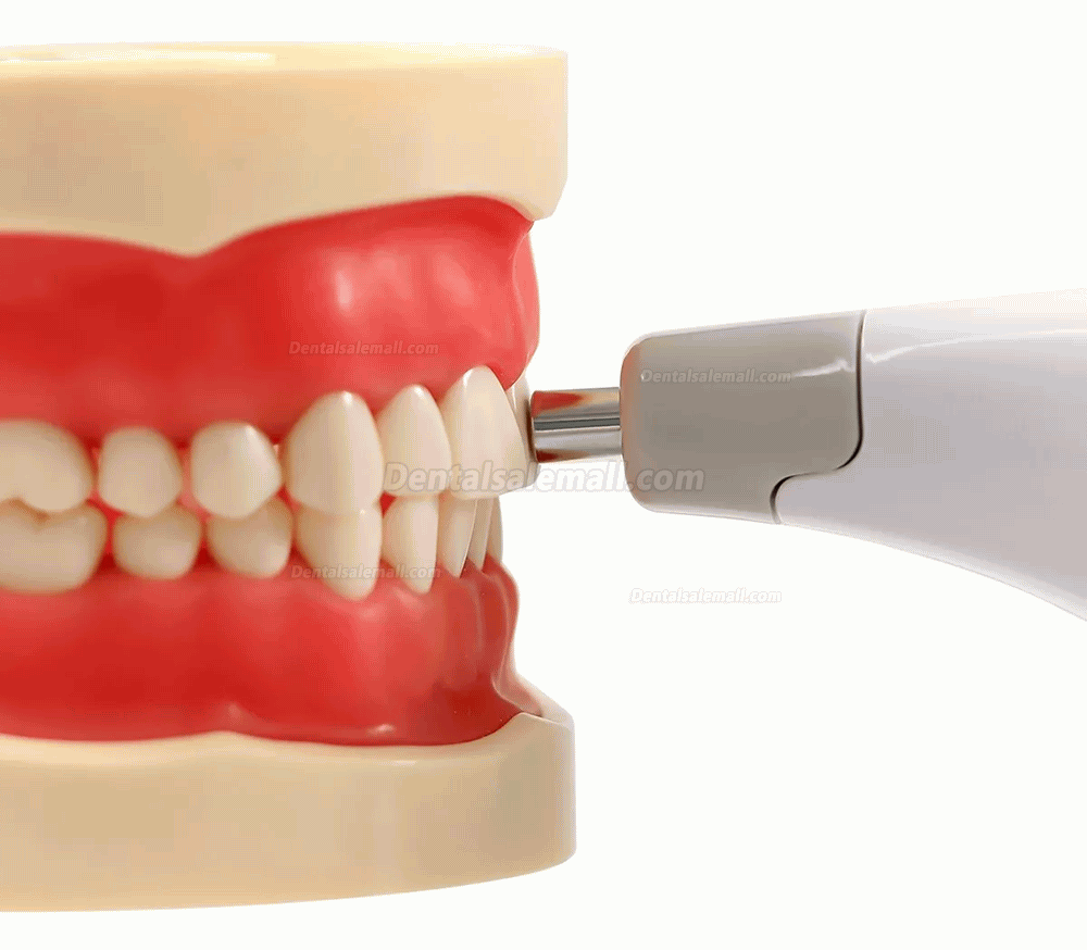 Dental LED Tooth Color Comparator Digital Colormeter with Teeth Shade Guide